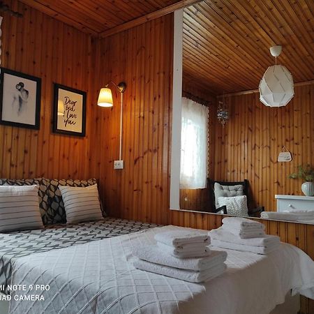 Deminik Summer House Nea Kallikrateia エクステリア 写真